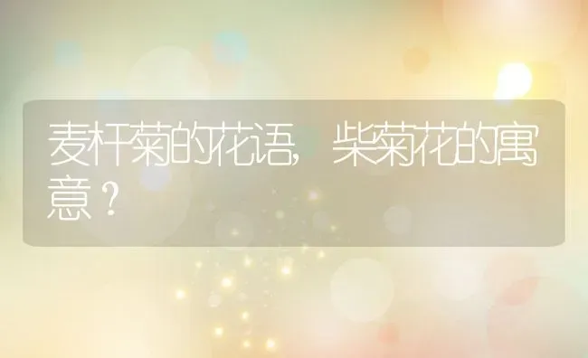 麦杆菊的花语,柴菊花的寓意？ | 养殖科普