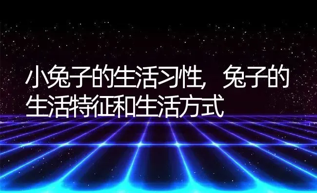 小兔子的生活习性,兔子的生活特征和生活方式 | 养殖科普