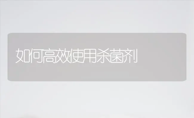 如何高效使用杀菌剂 | 养殖知识