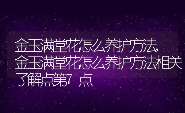 金玉满堂花怎么养护方法,金玉满堂花怎么养护方法相关了解点第7点 | 养殖学堂