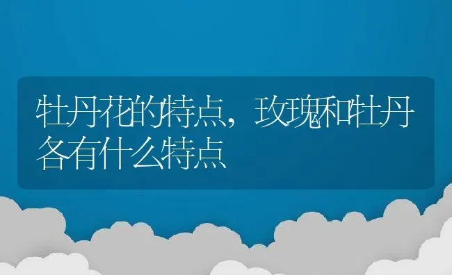 牡丹花的特点,玫瑰和牡丹各有什么特点 | 养殖学堂