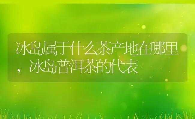 冰岛属于什么茶产地在哪里,冰岛普洱茶的代表 | 养殖学堂