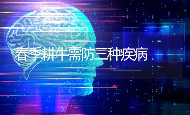 春季耕牛需防三种疾病 | 养殖知识