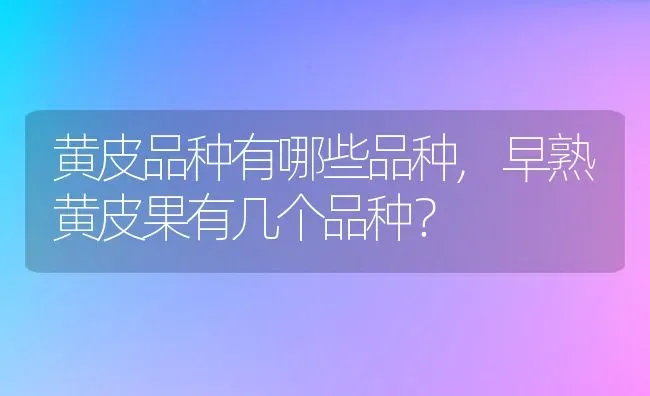 黄皮品种有哪些品种,早熟黄皮果有几个品种？ | 养殖科普