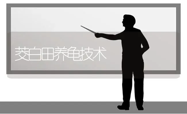 茭白田养龟技术 | 养殖技术大全