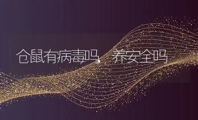 仓鼠有病毒吗,养安全吗 | 养殖科普