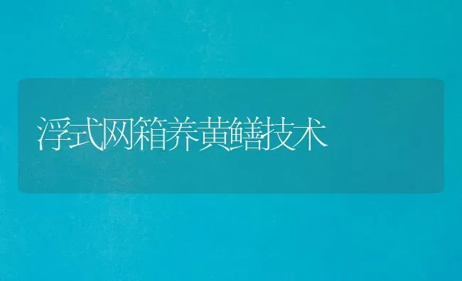 浮式网箱养黄鳝技术 | 养殖技术大全