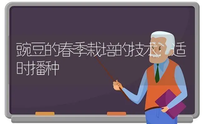 豌豆的春季栽培的技术：适时播种 | 养殖知识