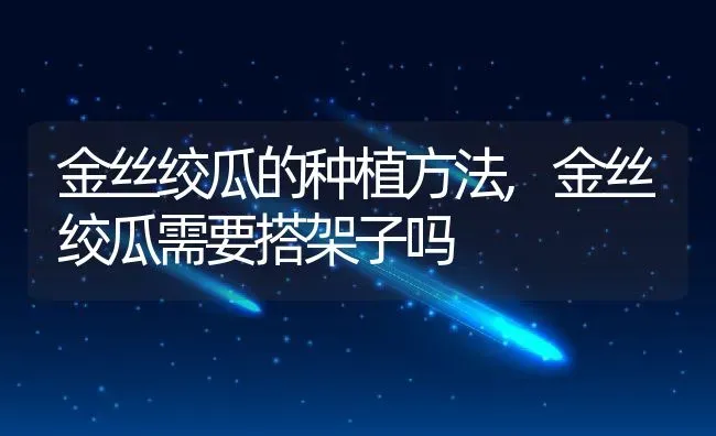 金丝绞瓜的种植方法,金丝绞瓜需要搭架子吗 | 养殖学堂