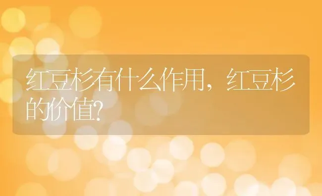红豆杉有什么作用,红豆杉的价值？ | 养殖科普