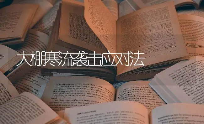 大棚寒流袭击应对法 | 养殖知识