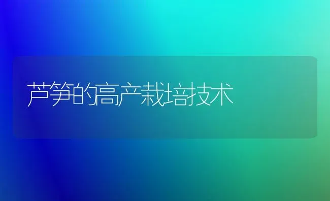 芦笋的高产栽培技术 | 养殖技术大全