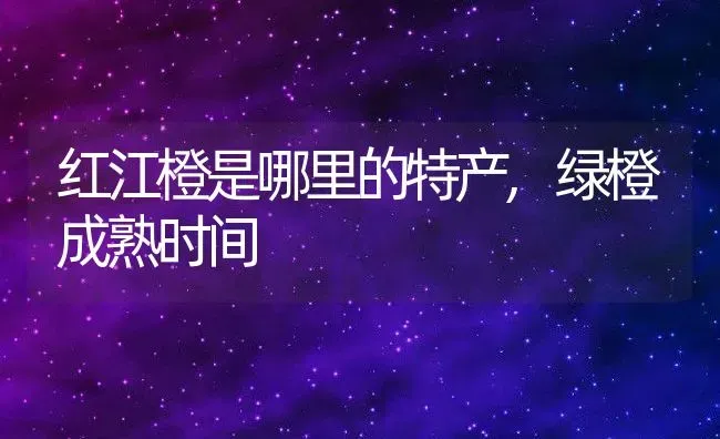 红江橙是哪里的特产,绿橙成熟时间 | 养殖学堂