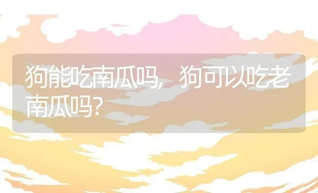 狗能吃南瓜吗,狗可以吃老南瓜吗？ | 养殖科普