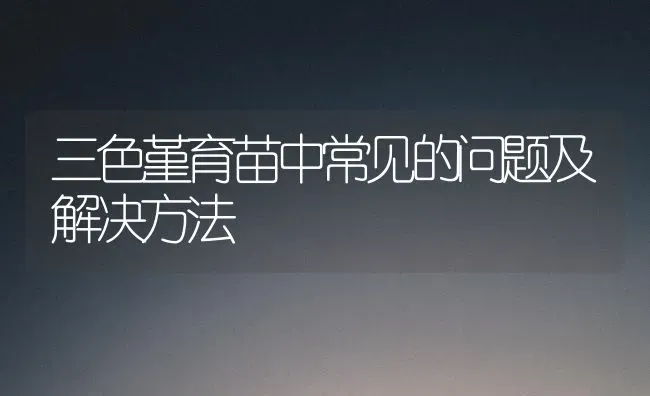 三色堇育苗中常见的问题及解决方法 | 养殖技术大全