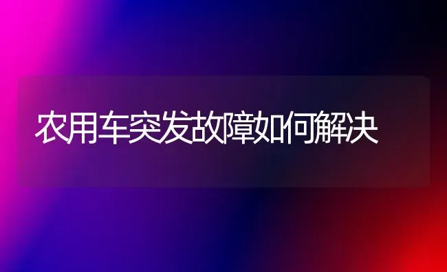 农用车突发故障如何解决 | 养殖技术大全