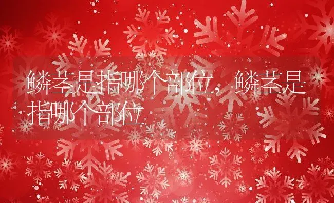 铁棍山药开花了还能吃吗,山药开花嘛？ | 养殖科普