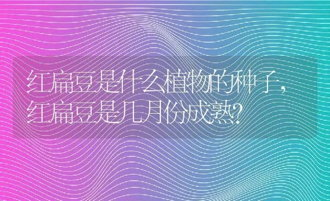 红扁豆是什么植物的种子,红扁豆是几月份成熟？ | 养殖科普