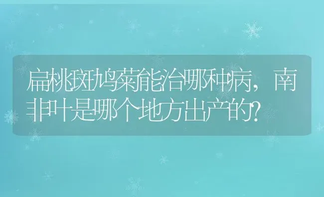 扁桃斑鸠菊能治哪种病,南非叶是哪个地方出产的？ | 养殖科普