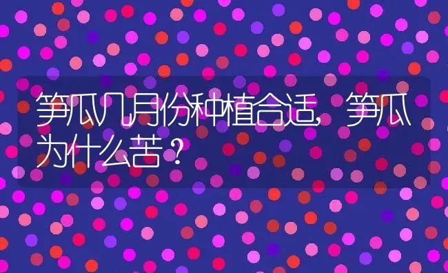 笋瓜几月份种植合适,笋瓜为什么苦？ | 养殖科普