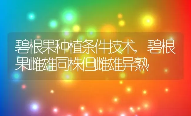 碧根果种植条件技术,碧根果雌雄同株但雌雄异熟 | 养殖学堂