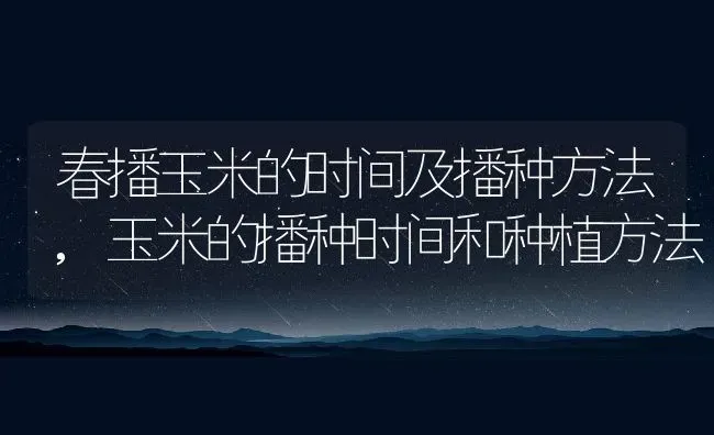 春播玉米的时间及播种方法,玉米的播种时间和种植方法 | 养殖学堂