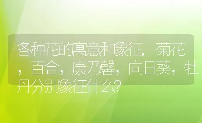 各种花的寓意和象征,菊花，百合，康乃馨，向日葵，牡丹分别象征什么？ | 养殖科普