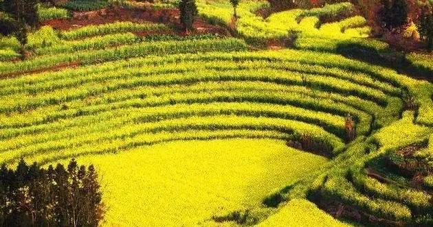 玛瑙是什么东西,玛瑙产地是哪里？
