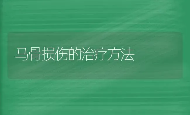 马骨损伤的治疗方法 | 养殖知识