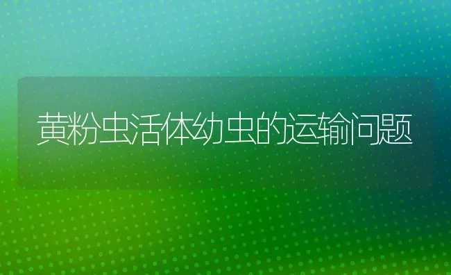 黄粉虫活体幼虫的运输问题 | 养殖知识