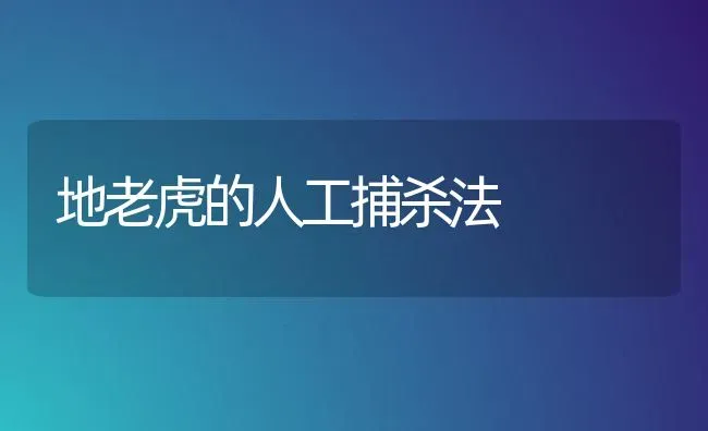 地老虎的人工捕杀法 | 养殖技术大全