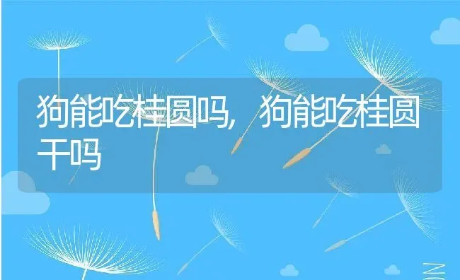 狗能吃桂圆吗,狗能吃桂圆干吗 | 养殖科普