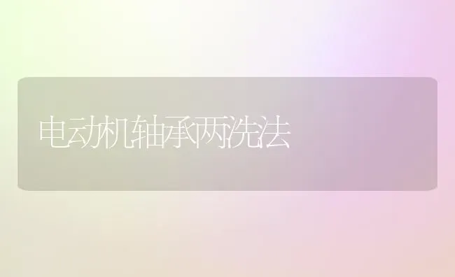 电动机轴承两洗法 | 养殖知识