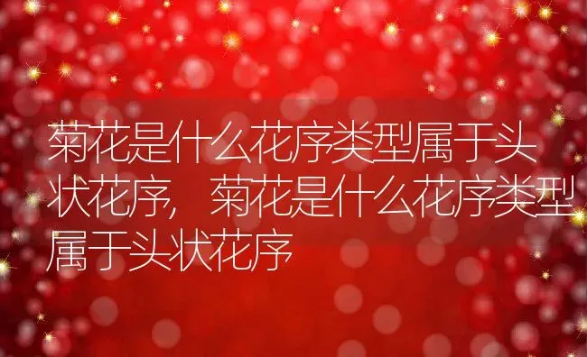 菊花是什么花序类型属于头状花序,菊花是什么花序类型属于头状花序 | 养殖科普