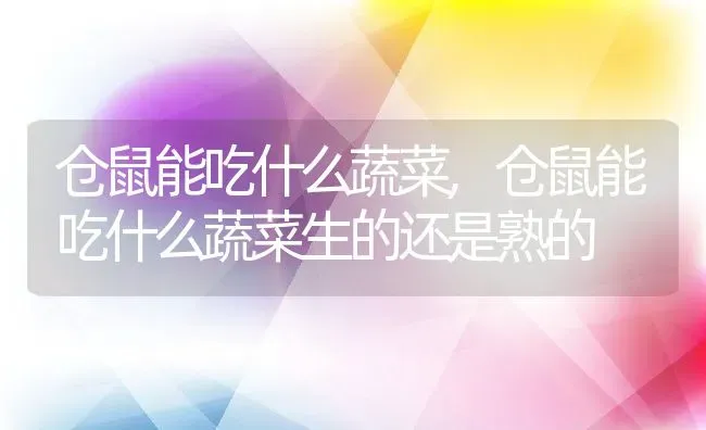 仓鼠能吃什么蔬菜,仓鼠能吃什么蔬菜生的还是熟的 | 养殖学堂
