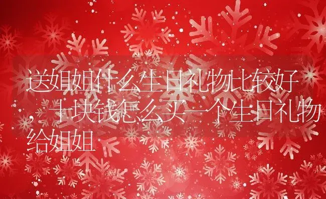 送姐姐什么生日礼物比较好,十块钱怎么买一个生日礼物给姐姐 | 养殖学堂