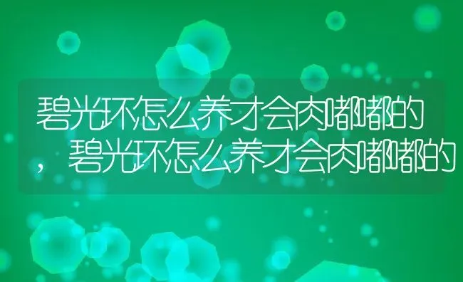 碧光环怎么养才会肉嘟嘟的,碧光环怎么养才会肉嘟嘟的 | 养殖科普