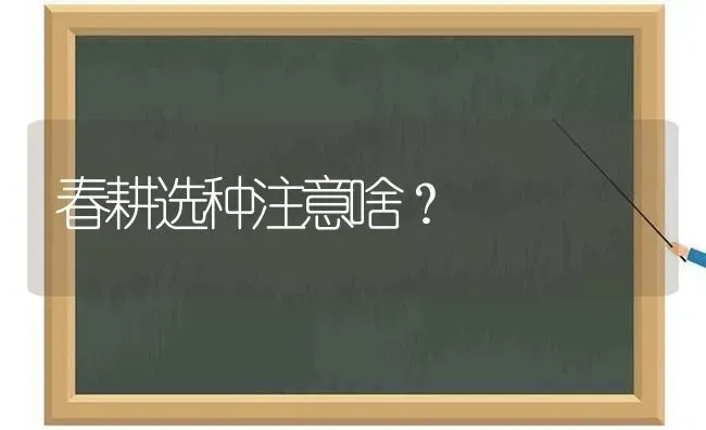 春耕选种注意啥? | 养殖技术大全