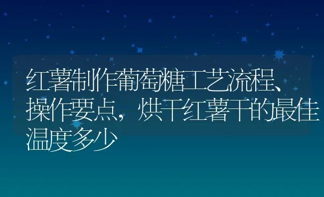 红薯制作葡萄糖工艺流程、操作要点,烘干红薯干的最佳温度多少 | 养殖学堂