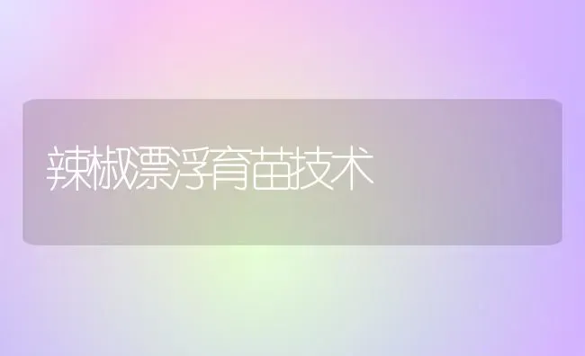 辣椒漂浮育苗技术 | 养殖知识