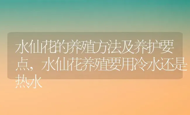 水仙花的养殖方法及养护要点,水仙花养殖要用冷水还是热水 | 养殖学堂