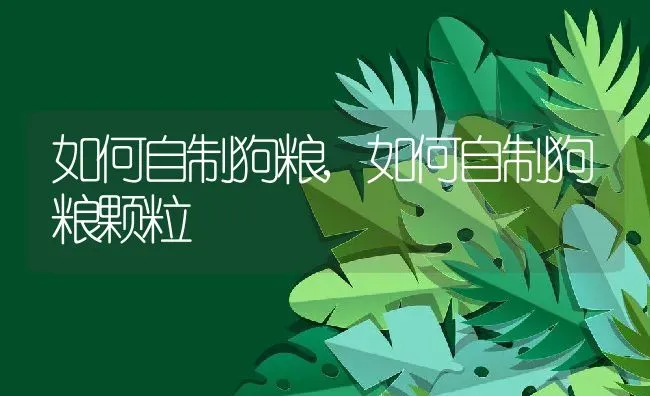 如何自制狗粮,如何自制狗粮颗粒 | 养殖科普