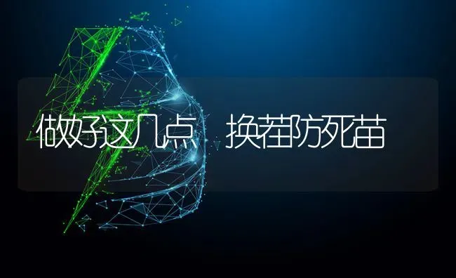 做好这几点 换茬防死苗 | 养殖技术大全