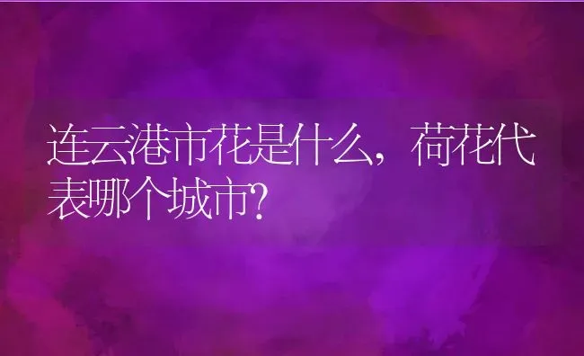 连云港市花是什么,荷花代表哪个城市？ | 养殖科普