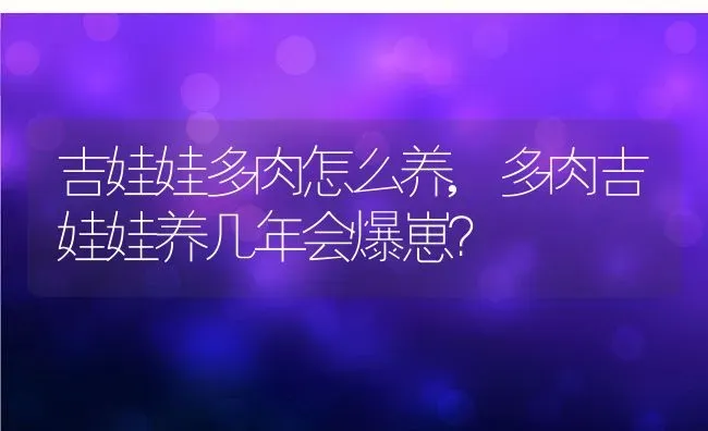 吉娃娃多肉怎么养,多肉吉娃娃养几年会爆崽？ | 养殖科普