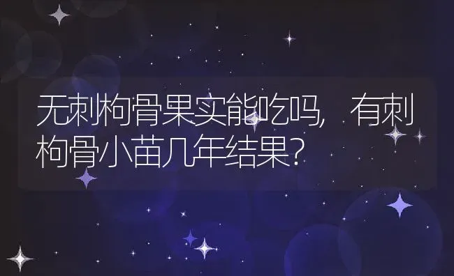 无刺枸骨果实能吃吗,有刺枸骨小苗几年结果？ | 养殖科普