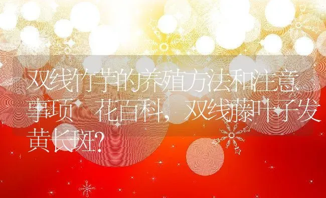 双线竹芋的养殖方法和注意事项–花百科,双线藤叶子发黄长斑？ | 养殖科普