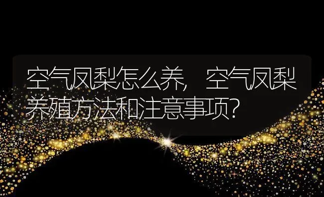 空气凤梨怎么养,空气凤梨养殖方法和注意事项？ | 养殖科普