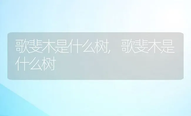 歌斐木是什么树,歌斐木是什么树 | 养殖科普