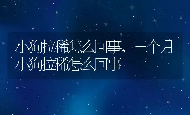 小狗拉稀怎么回事,三个月小狗拉稀怎么回事 | 养殖资料